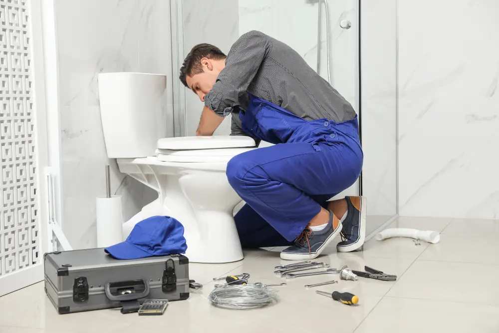 Toilet Installation in Haliimaile